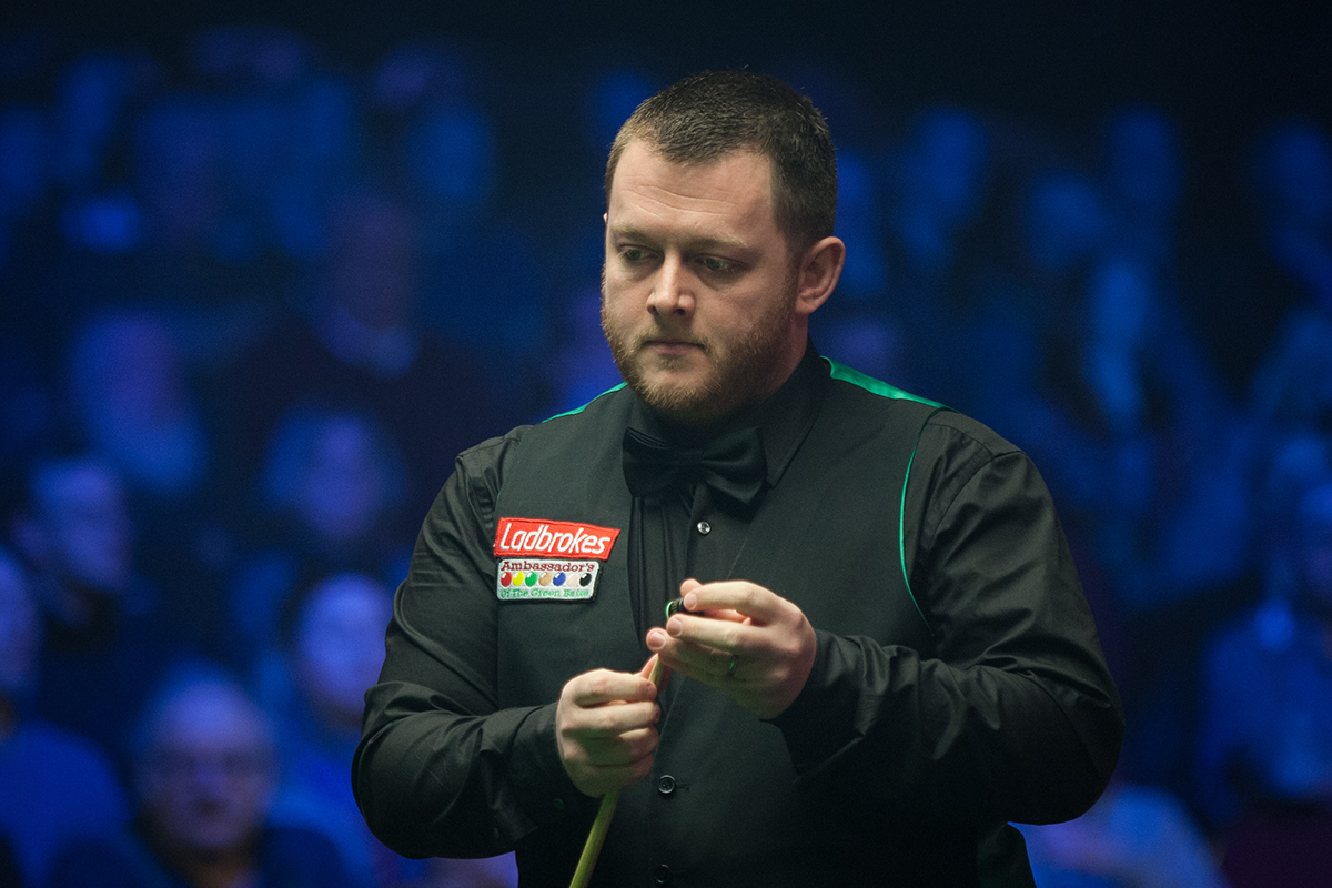 更是心理博 更是心理博