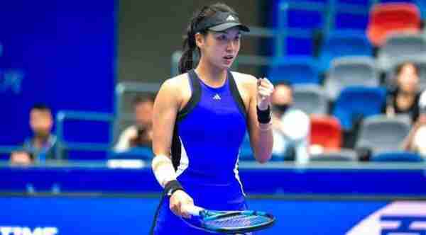 供了一个极 供了一个极